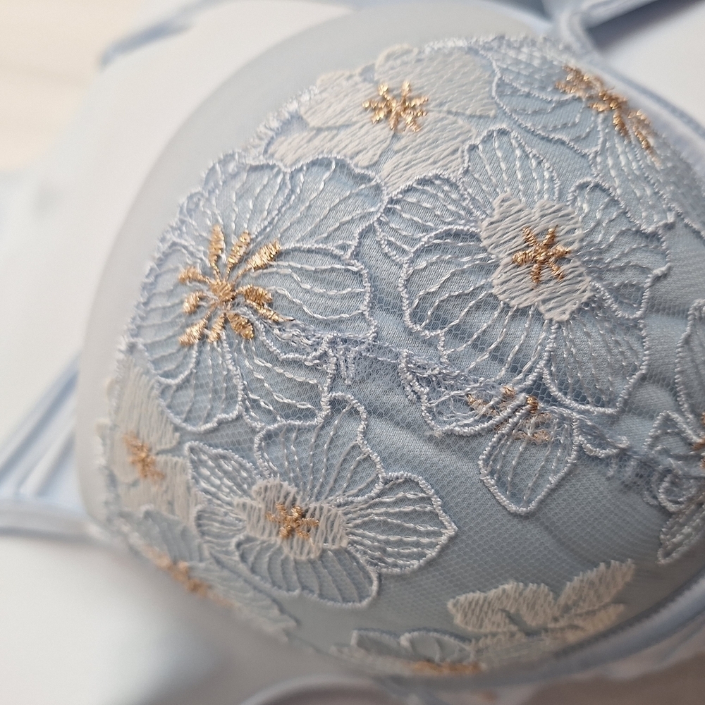 Powder Blue Embroidered Full-Coverage Bra - Picture 3 of 5